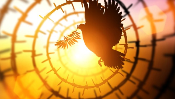 Colombe ; Esprit saint; Pentecote