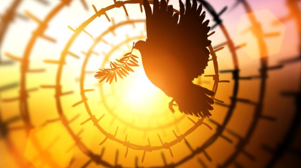 Colombe ; Esprit saint; Pentecote