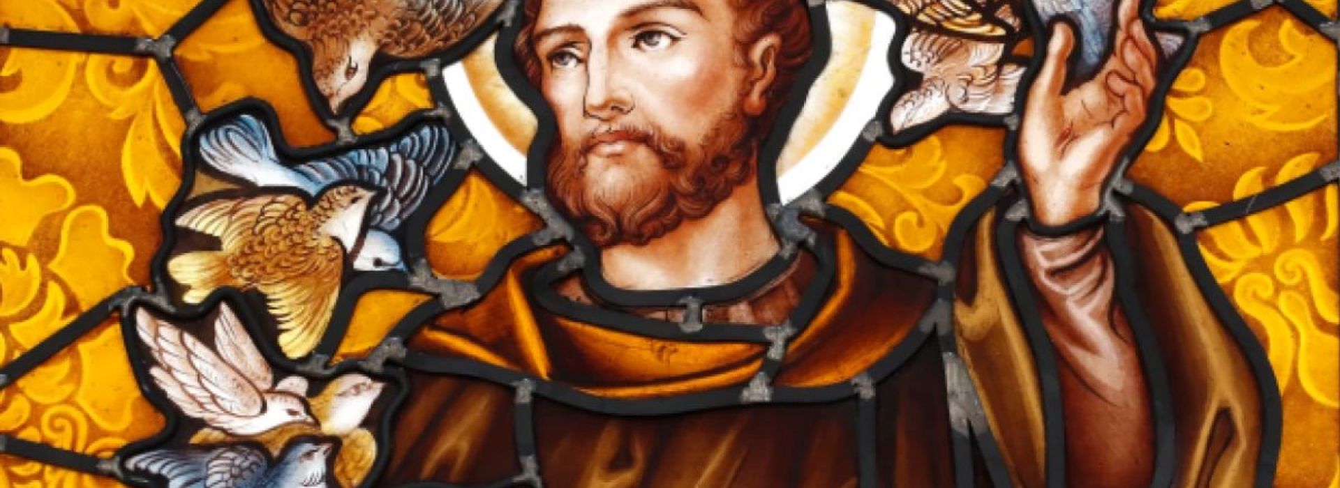 Saint François d'Assise