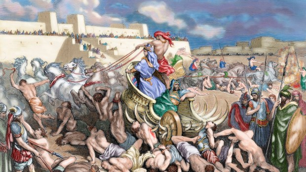 ammonites_0037140_428