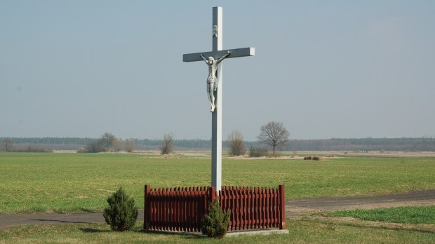 Krzyż na polu w Karszynie