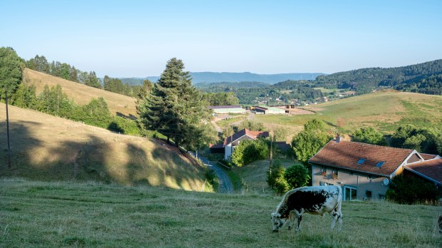 SAINT-DIE-REGION-FRANCE-shutterstock_2203287827.jpg