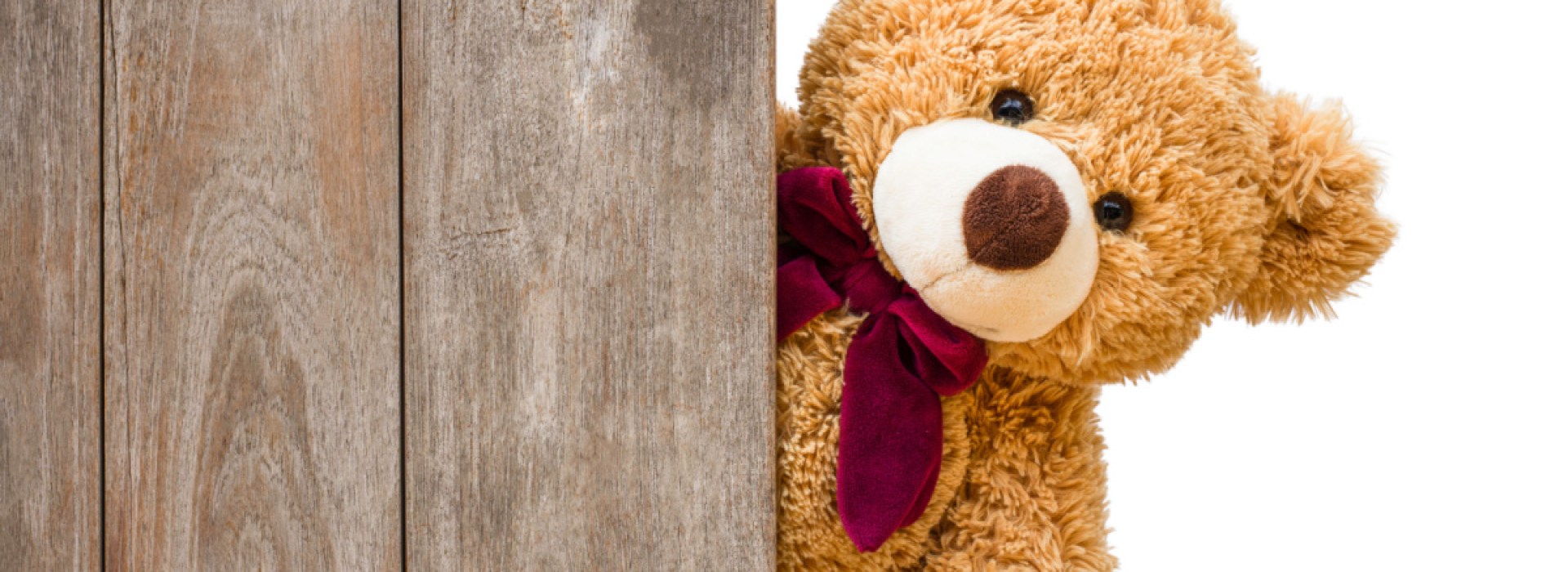 Teddy bear