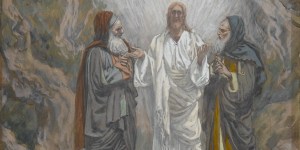 [HOMÉLIE] Dans nos clairières intérieures, la joie de la Transfiguration