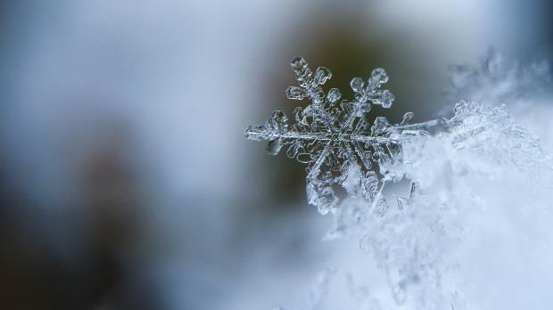 aaron-burden-snowflake-frost-crystal-unsplash