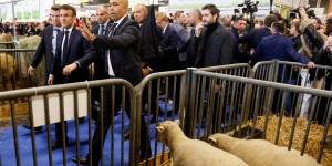 Agriculture française : une dépression sans précédent