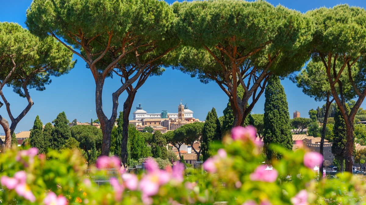 [EN IMAGES] Les dix plus beaux miracles dans le jardin de Dieu