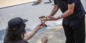 La bonne odeur des brebis perdues