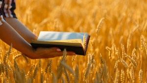 Woman holding bible in summer field