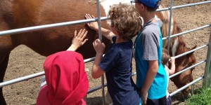 Des religieuses américaines transmettent l&rsquo;amour de Dieu… par les chevaux