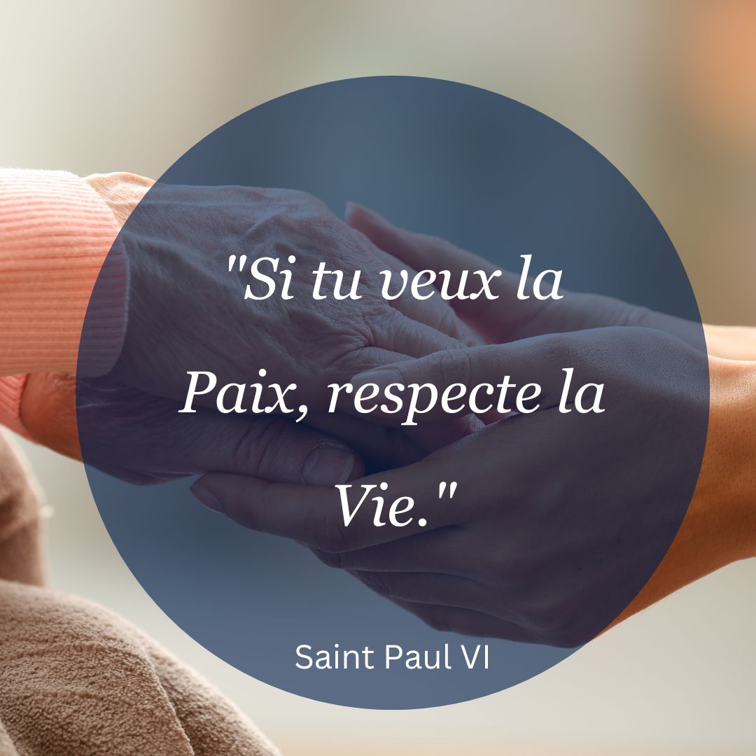 Des citations des saints sur la beauté de la vie