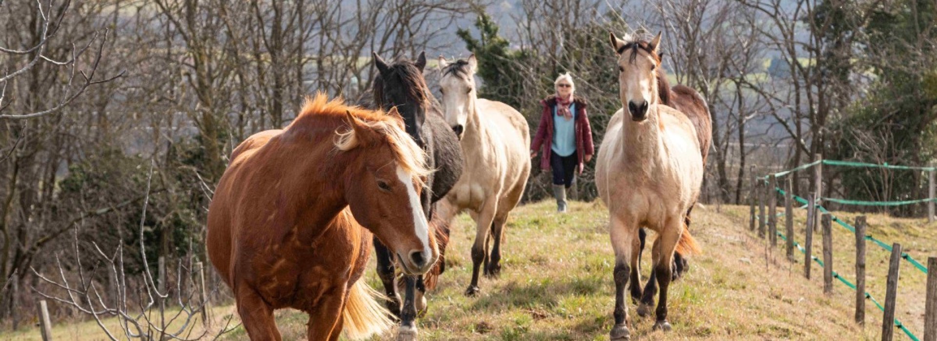 Chevaux-en-folie