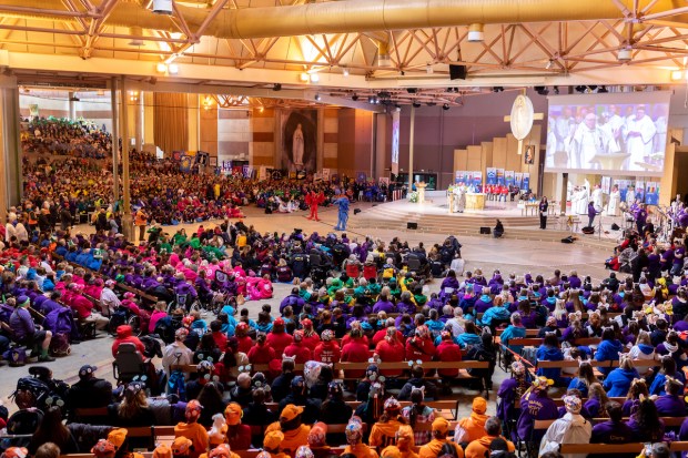 Ces grands pèlerinage font vibrer le sanctuaire de Lourdes