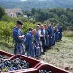[VIDÉO] Quand le chant des moines du Barroux berce les vignes