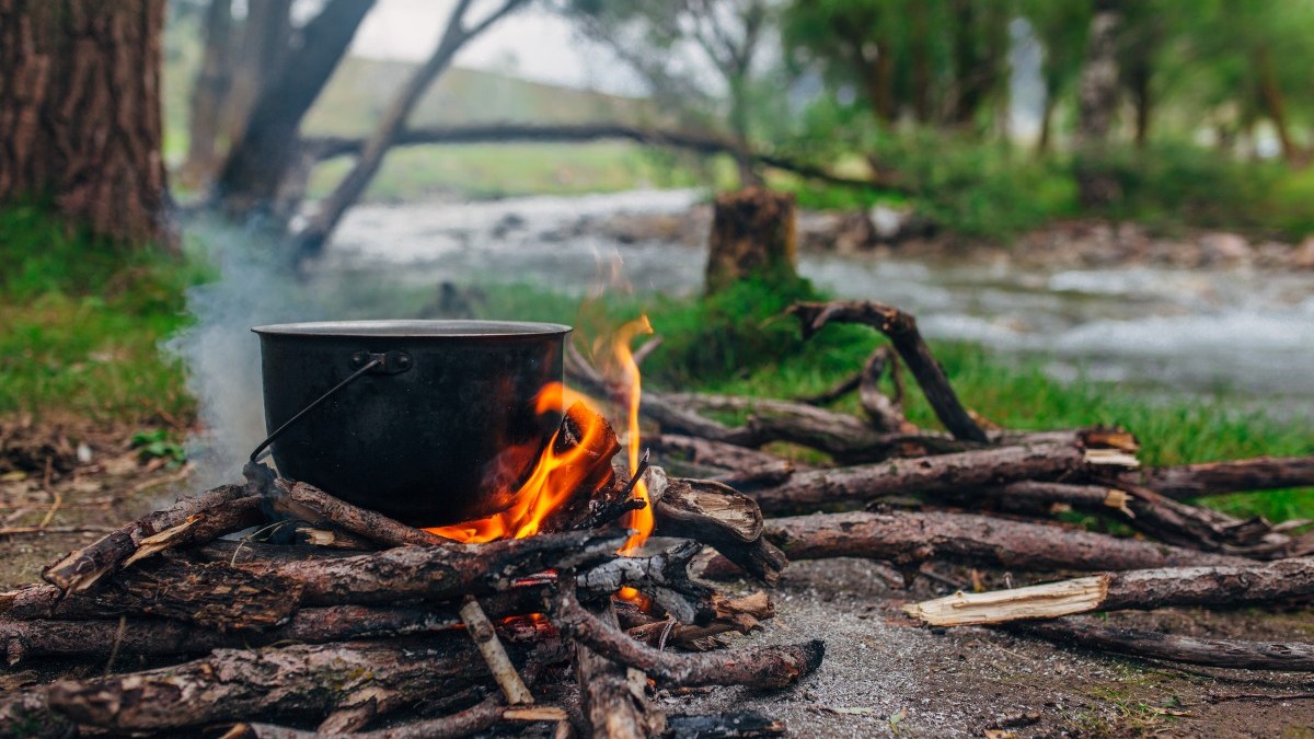 COOKING-SCOUT-UNE