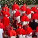 Conclave : pourquoi certains cardinaux sont-ils en noir et non en rouge ?