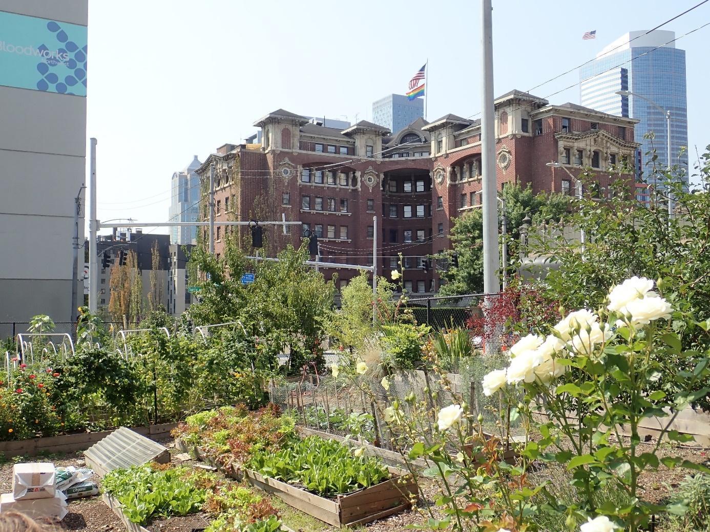 Etats-Unis, Seattle