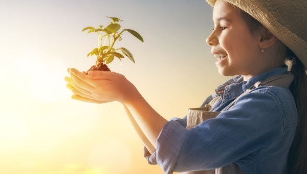 Cute little child girl with seedlings on sunset background. Fun little gardener. Spring concept, nature and care