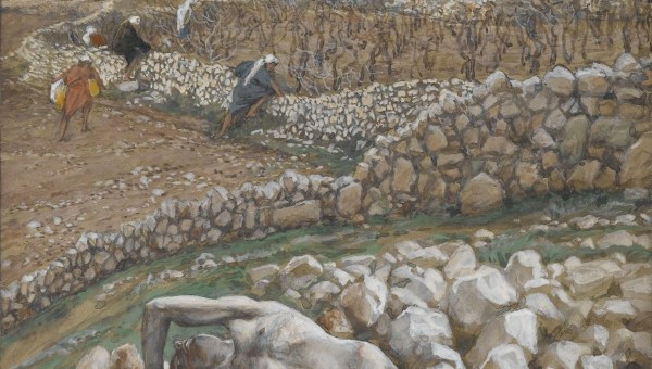 FILS-DE-LA-VIGNE-OK