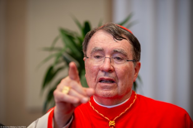 Newly elevated cardinal, apostolic nuncio from the United States, French Christophe Pierre,