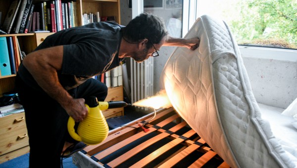 PUNAISES-DE-LIT-AFP-080_HL_MCOHEN_1939151