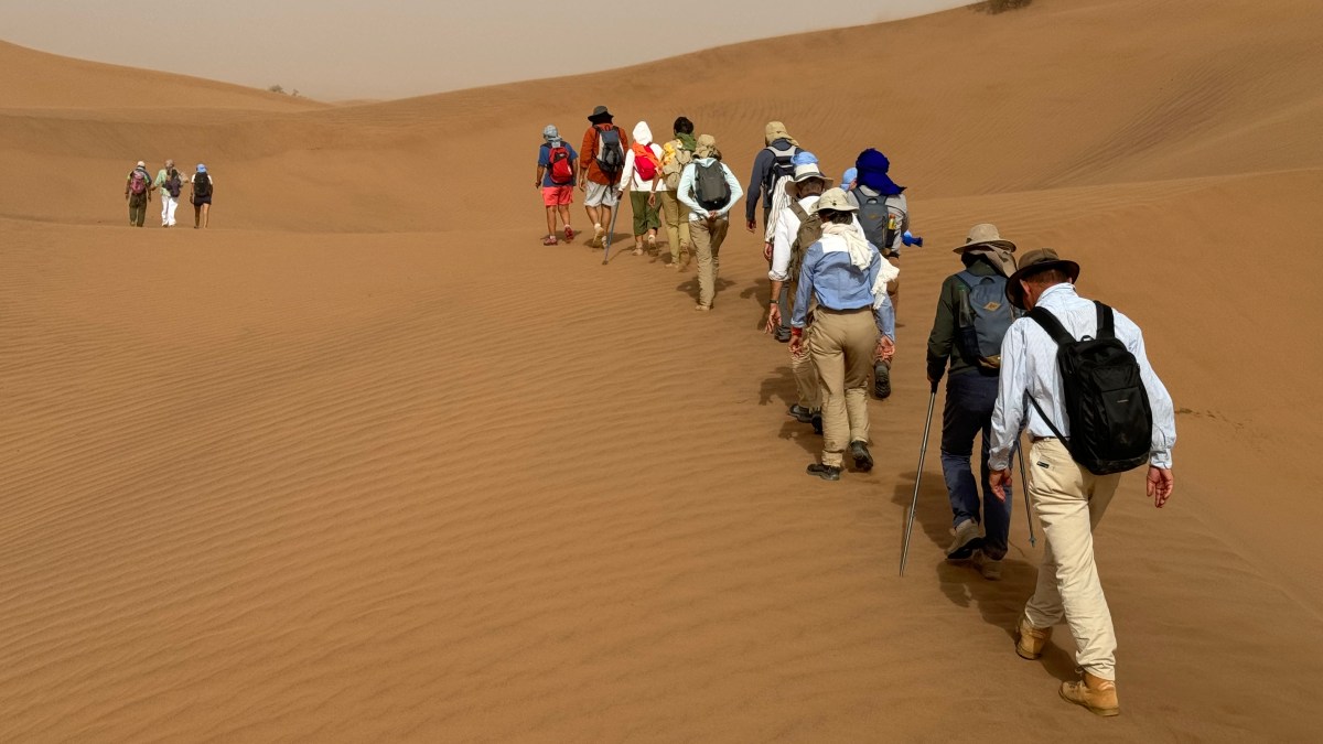 MARCHE-MAROC