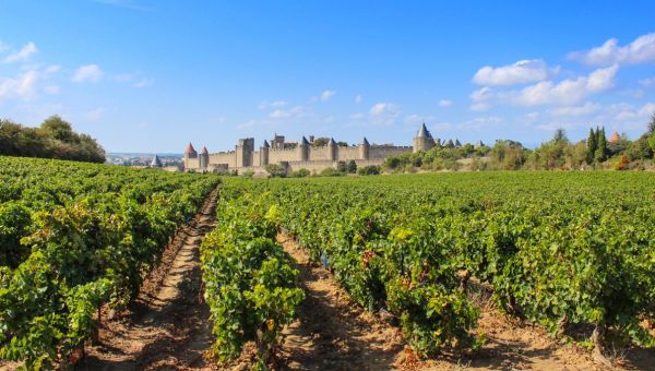VIGNES-CARCASSONNE-SHUTTERSTOCK