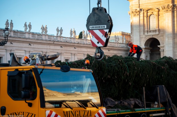 Le sapin de Noël du Pape est arrivé place Saint-Pierre