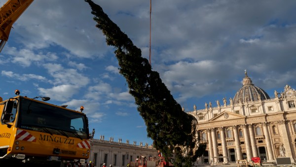 Giant fir donated by the city of Macra in the Italian northern region of Piedmont, lifted by cranes in St. Peter's Square