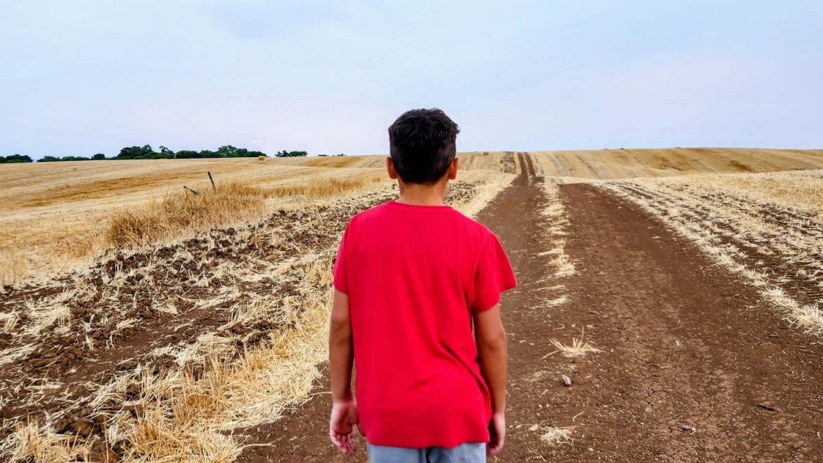 garçon, campagne, chemin