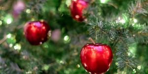 C’est Noël en juin !
