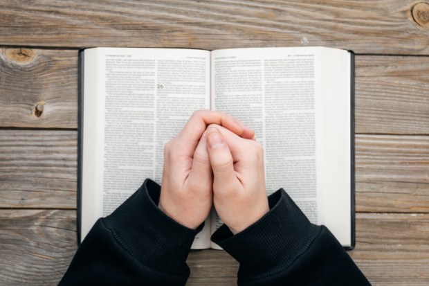 Close-up, christian read Bible