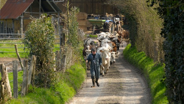 FARMER-FRANCE-shutterstock_1707380494