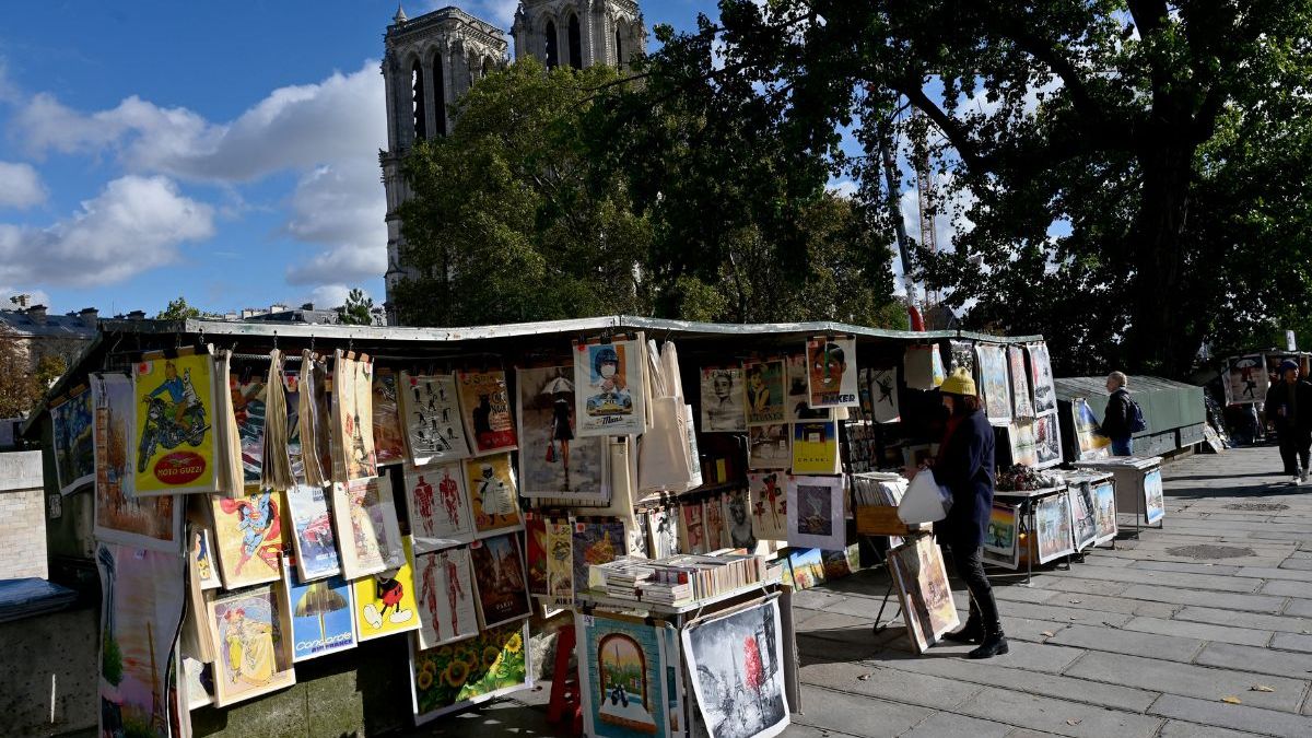 paris, seine, bouquinistes, notre-dame