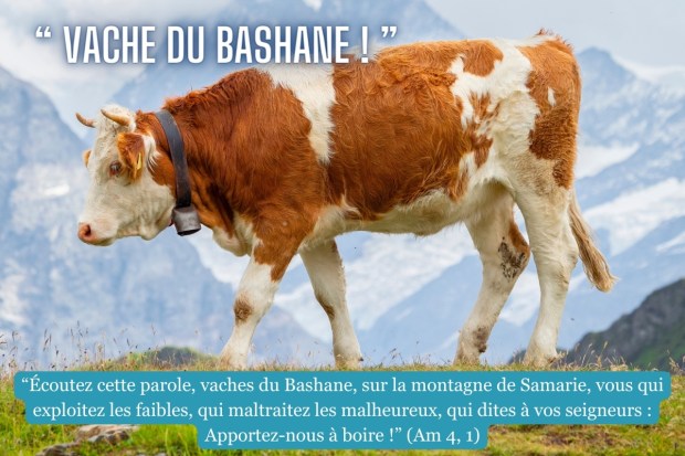 Les drôles d’injures contenues dans la Bible