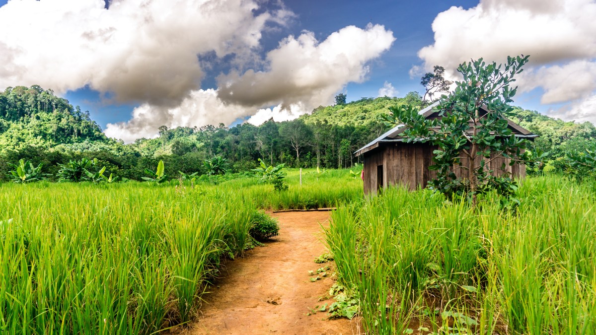 cambodge Mondulkiri