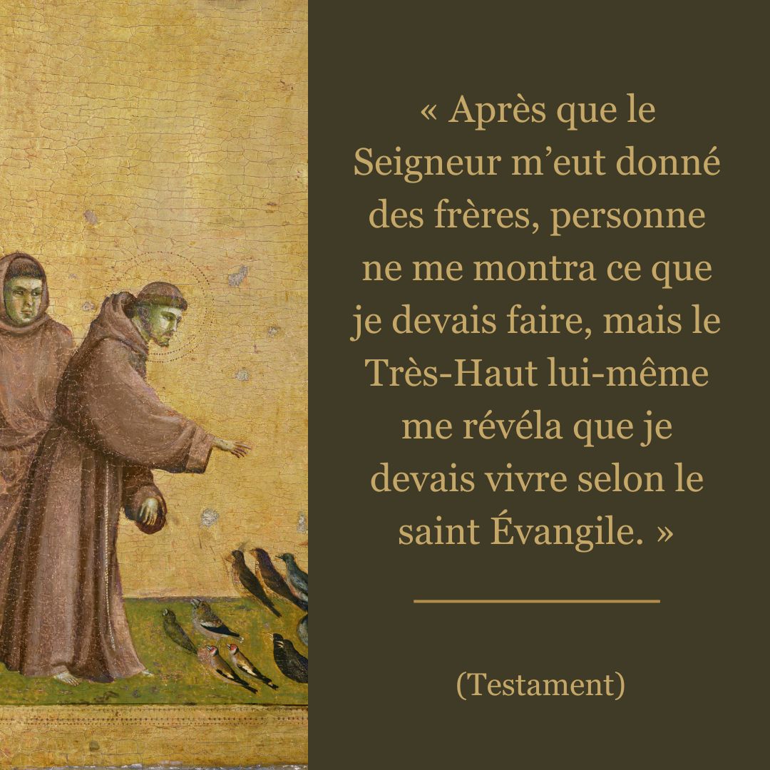 Dix citations de saint François d’Assise