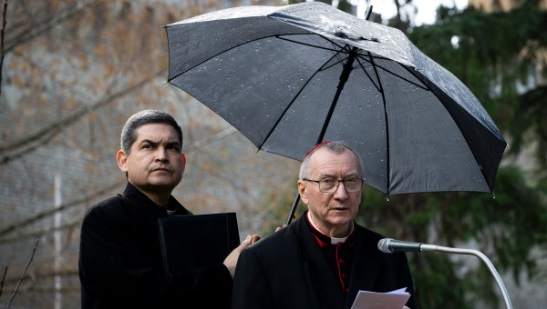 in the Vatican Gardens, a Grafted Apple Tree by the blessed Józef Ulma.