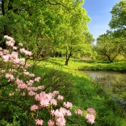 Stickers Item image #3