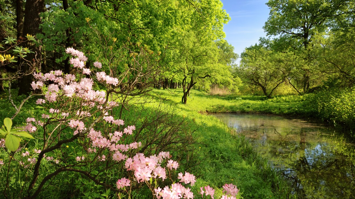 paysage.jpg