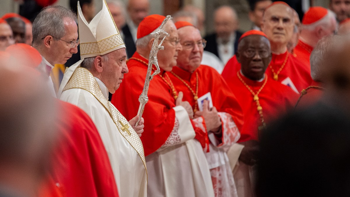 cardinaux.jpg