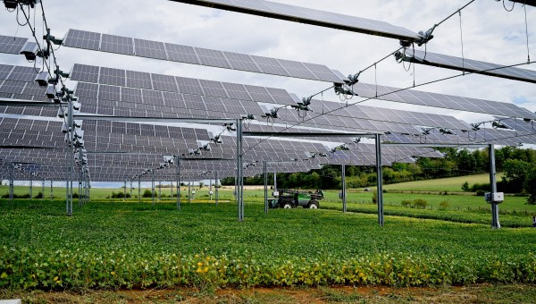 Canopee-agrivoltaique-installee-en-France-shutterstock