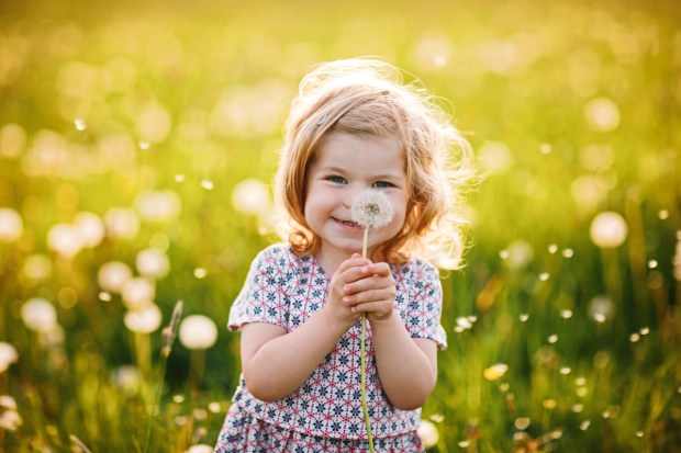 Adorable cute little baby girl blowing on a dandelion flower on the nature in the summer