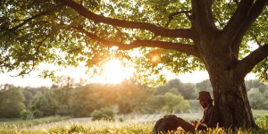 Méditations d’été au pied de mon arbre
