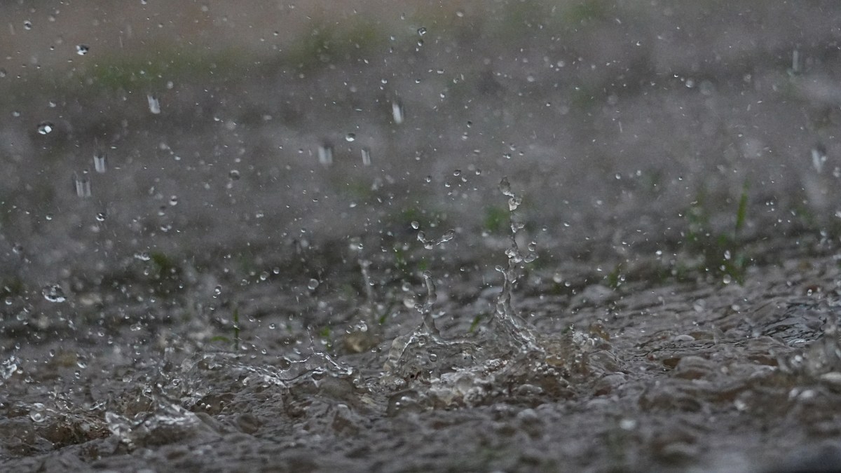 PLUIE-shutterstock