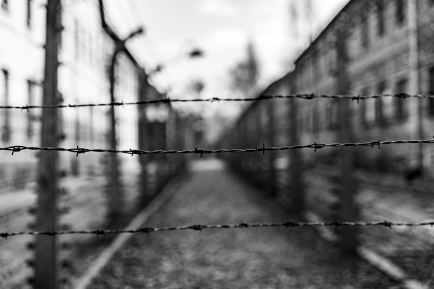 Barbed wire in Auschwitz concentration camp