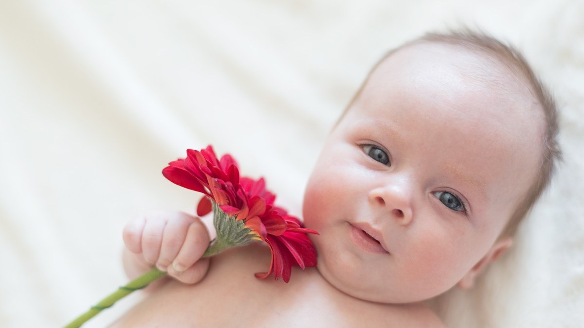 BABY-FLOWER.jpg