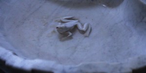 Une véritable grenouille de bénitier !