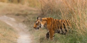 Pour éviter le piège de ses habitudes, osez un détour !