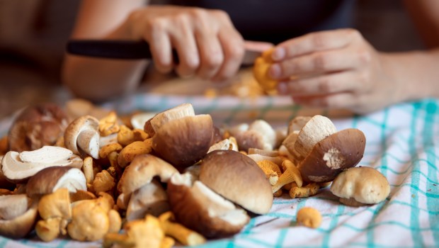 CUISINE-shutterstock